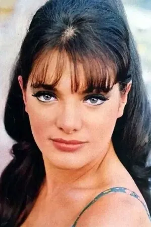 Sylvia Sorrente