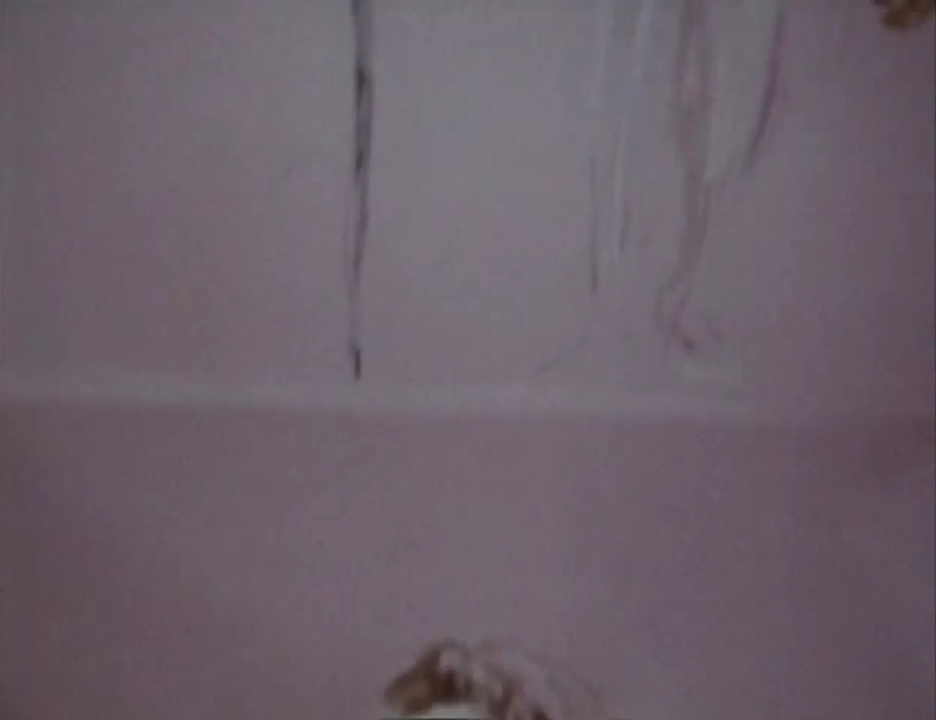 Up Your Teddy Bear scene still 4