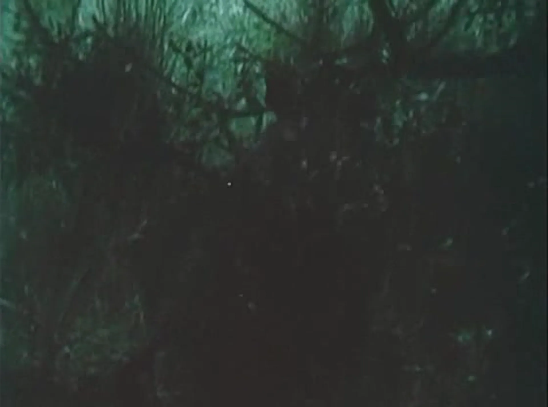 King Solomon's Treasure scene still 5