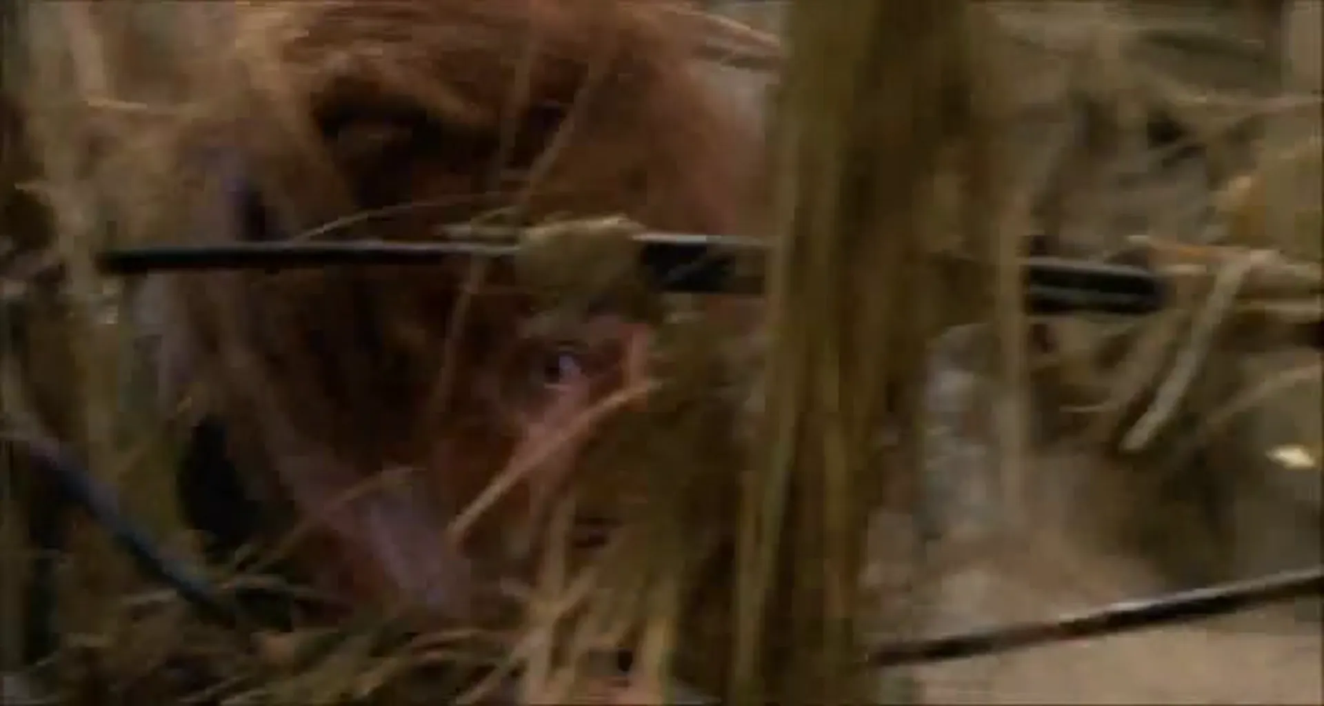 When Women Lost Their Tails scene still 1