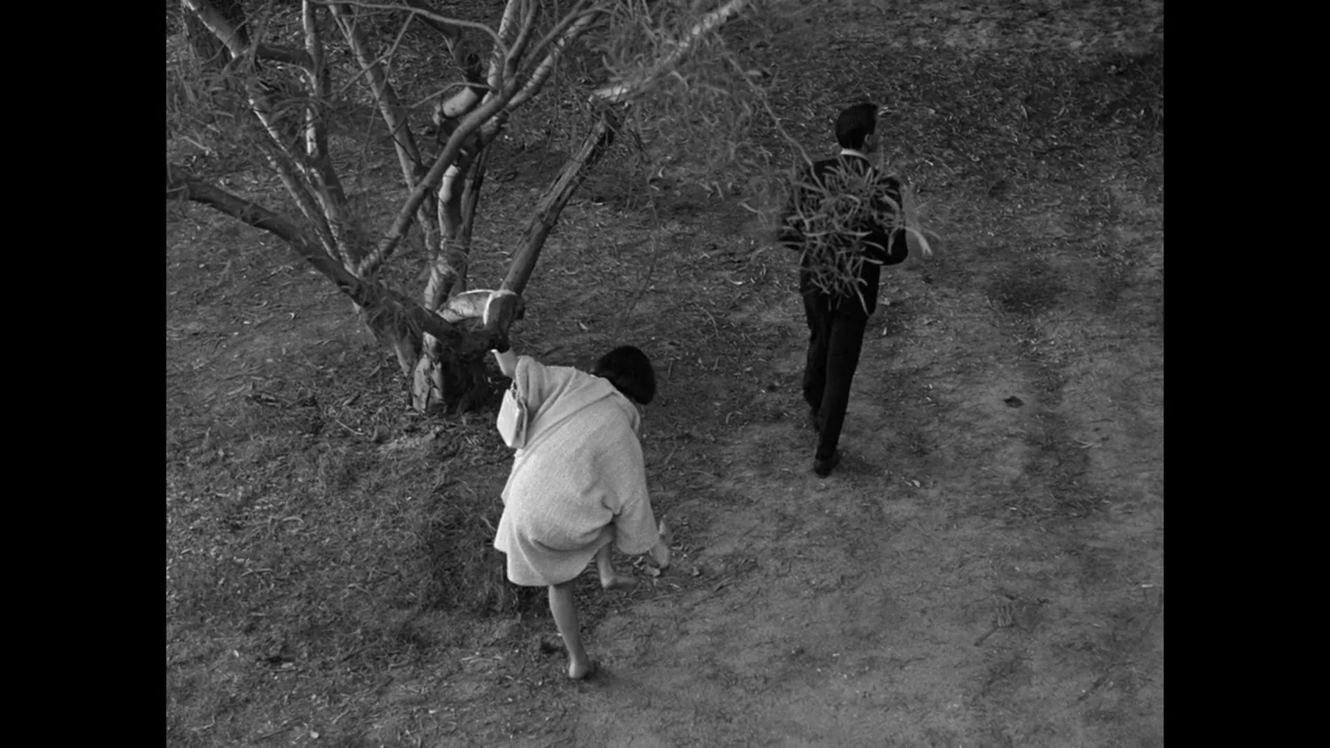 The Ghost of Sierra de Cobre scene still 5