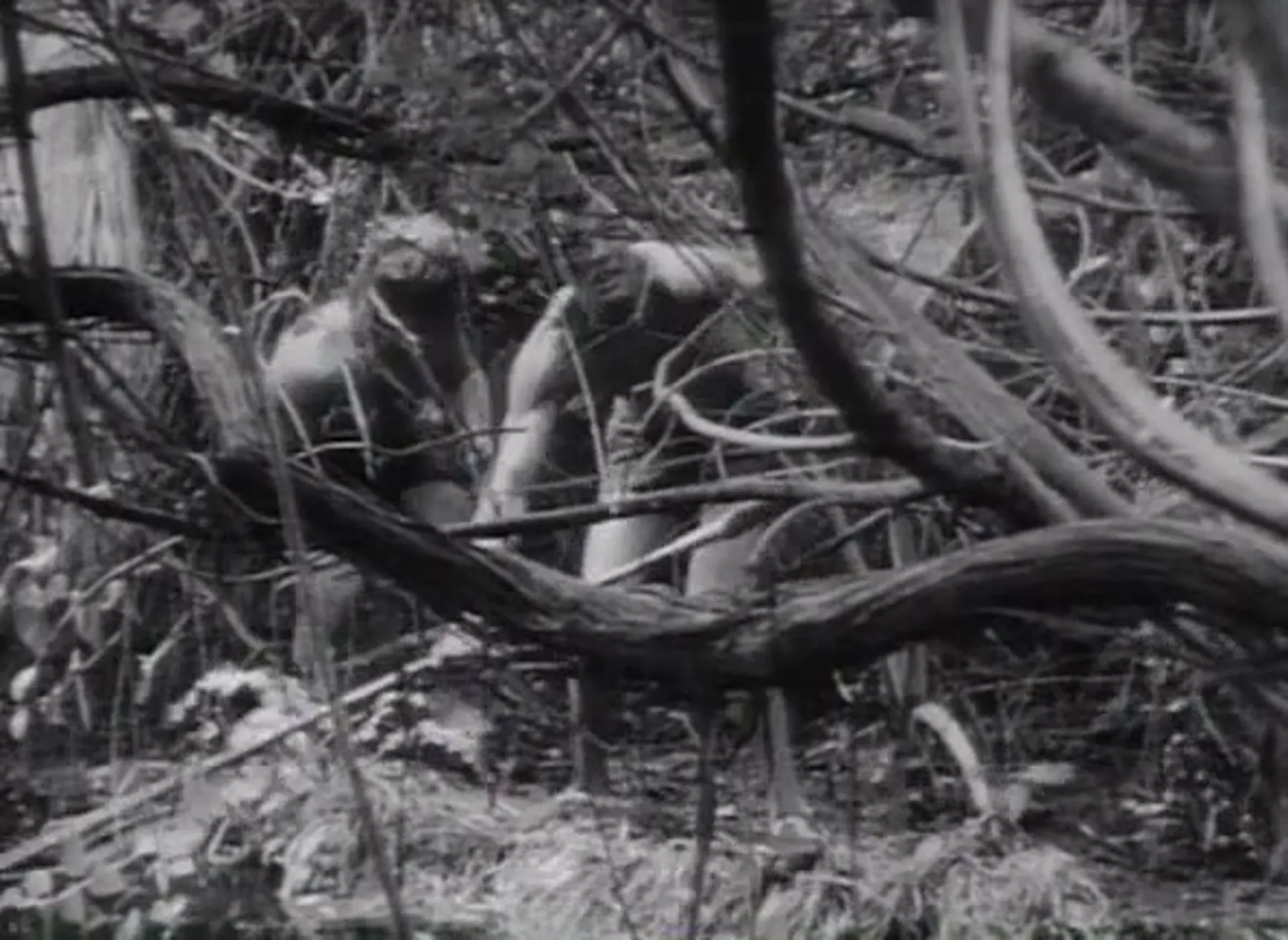 Teenage Caveman scene still 4