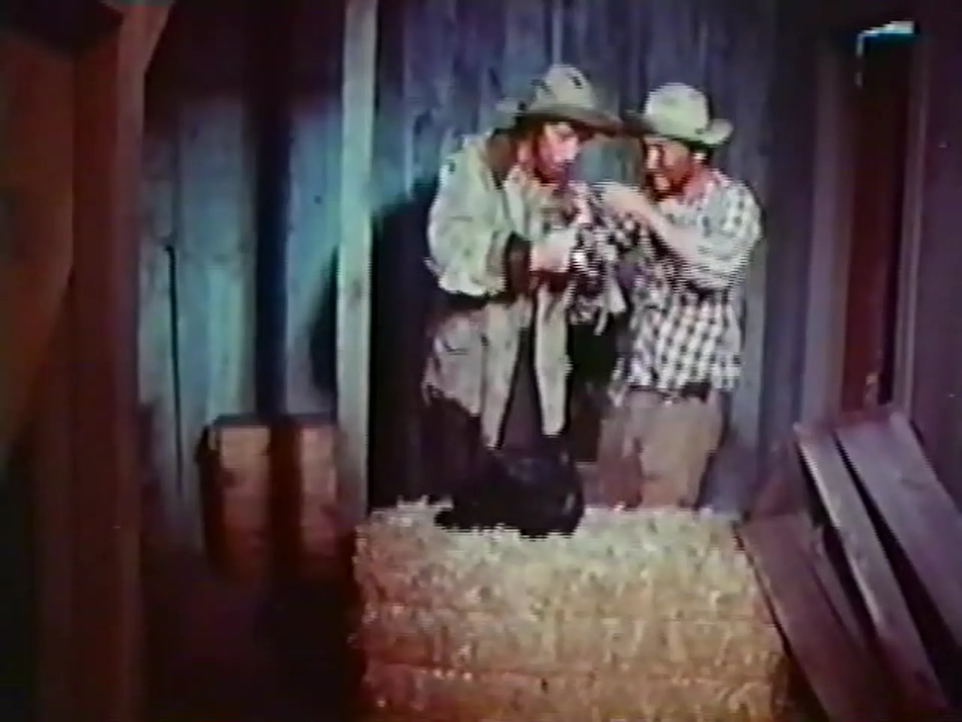 Saddle Tramp Women scene still 2