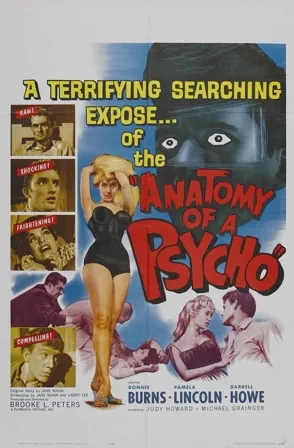 Anatomy of a Psycho