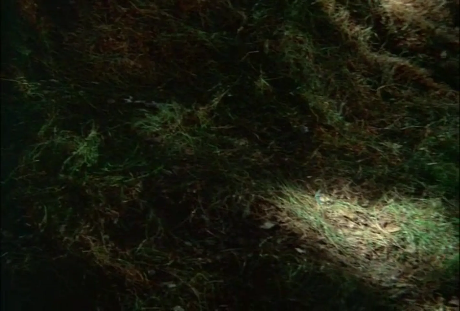 The Ramrodder scene still 5