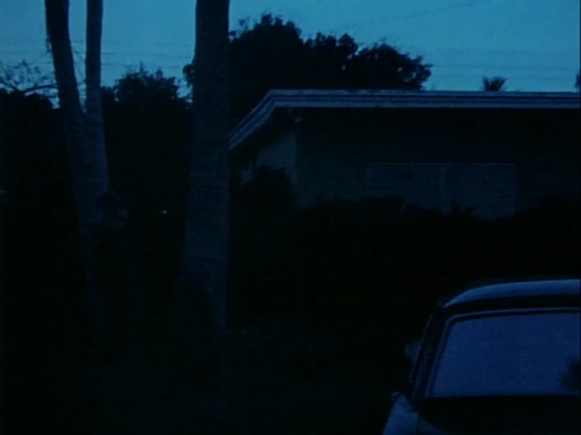 Blood Freak scene still 8