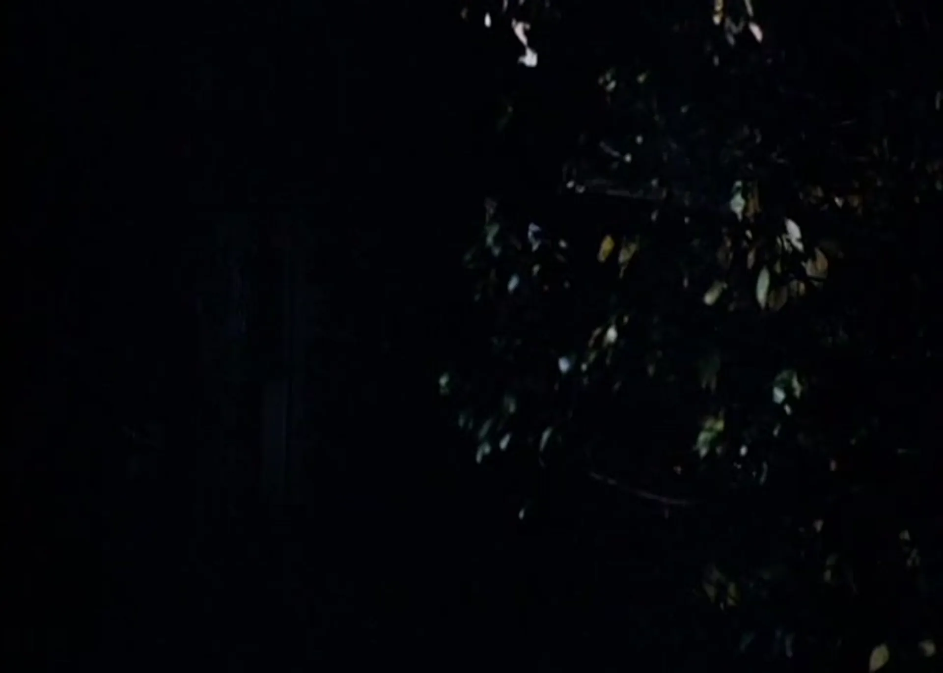 The French Sex Murders scene still 6