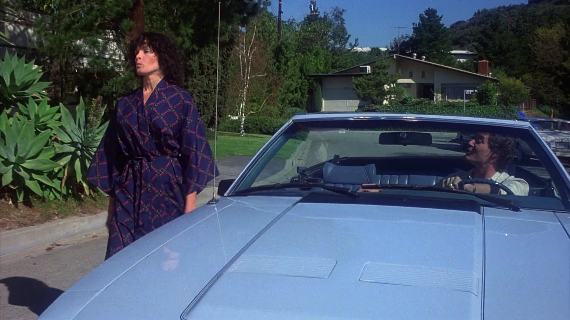 The Happy Hooker Goes Hollywood scene still 5
