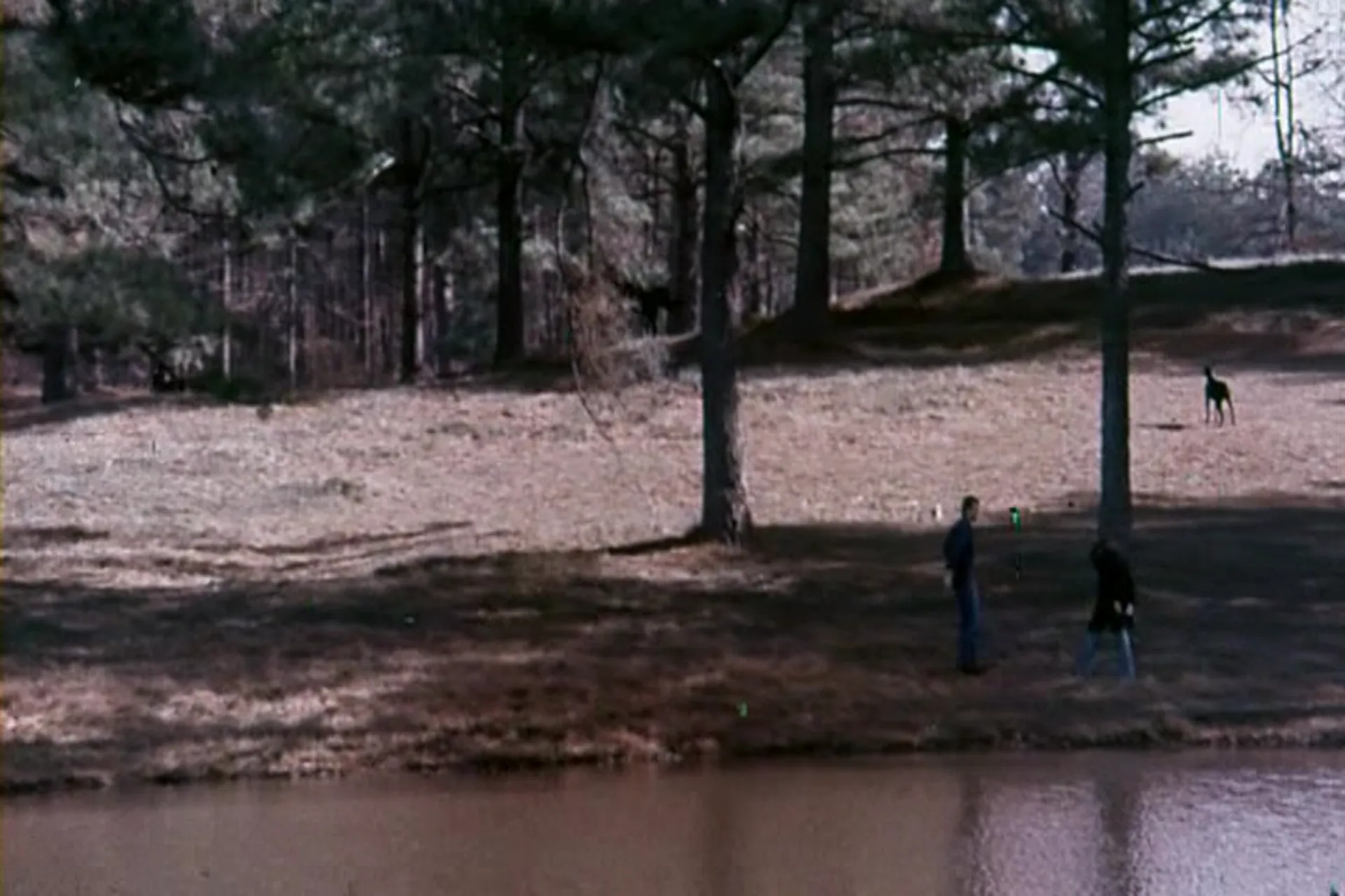 All the Young Wives scene still 2