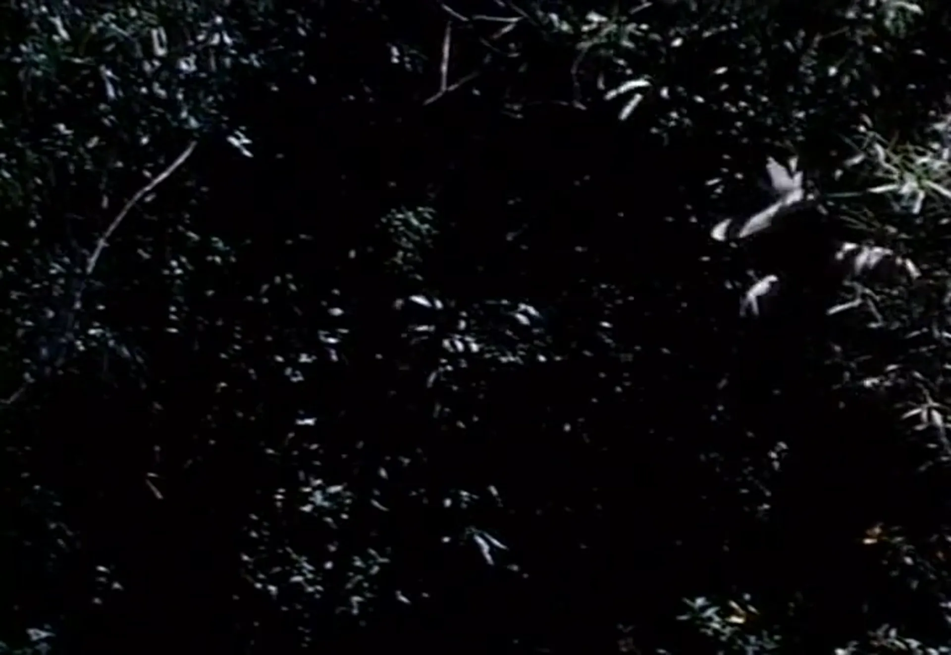Death Curse of Tartu scene still 2