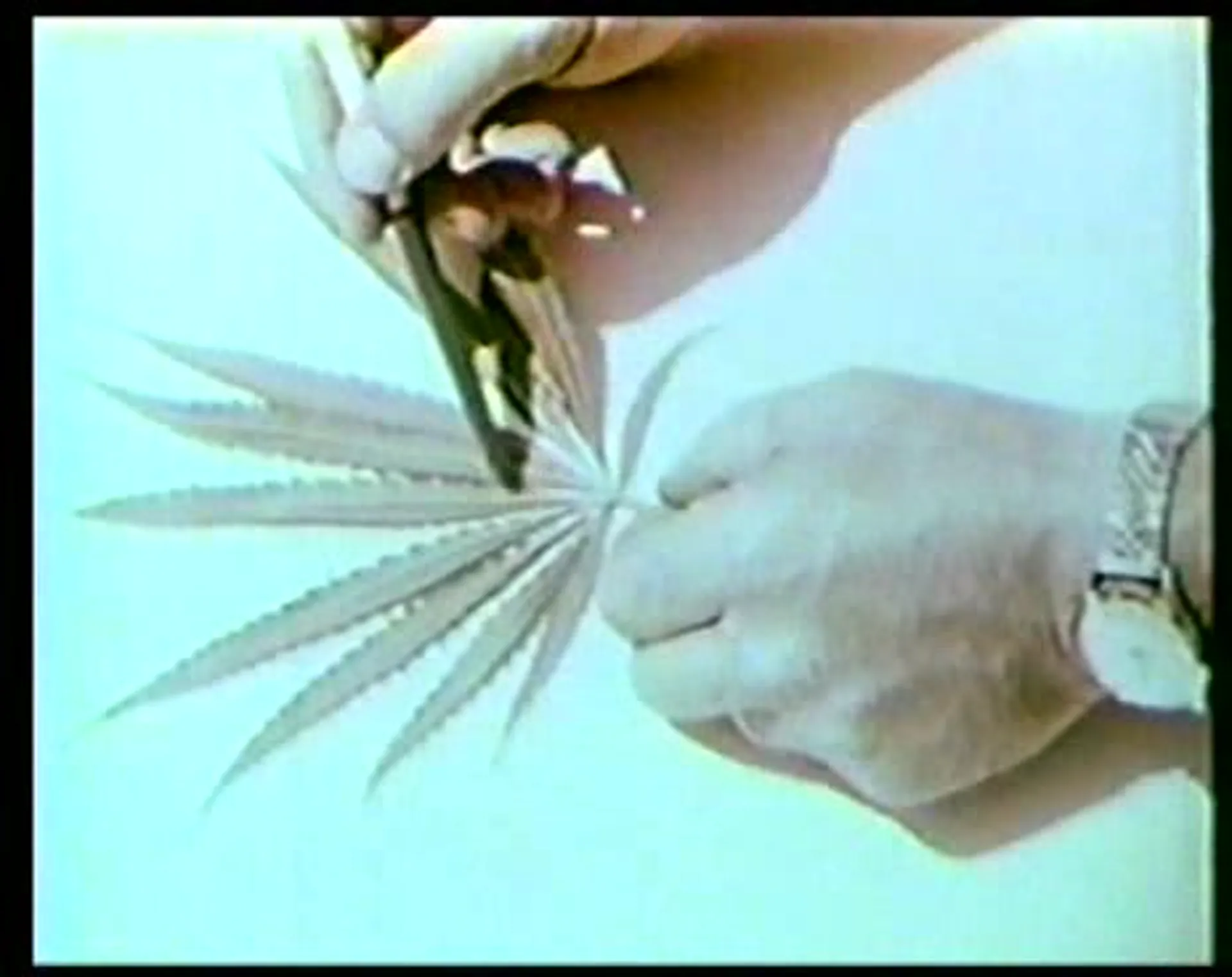 The Narcotics Story scene still 2