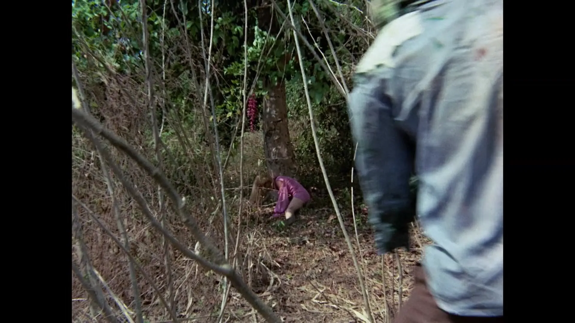 Mad Doctor of Blood Island scene still 3