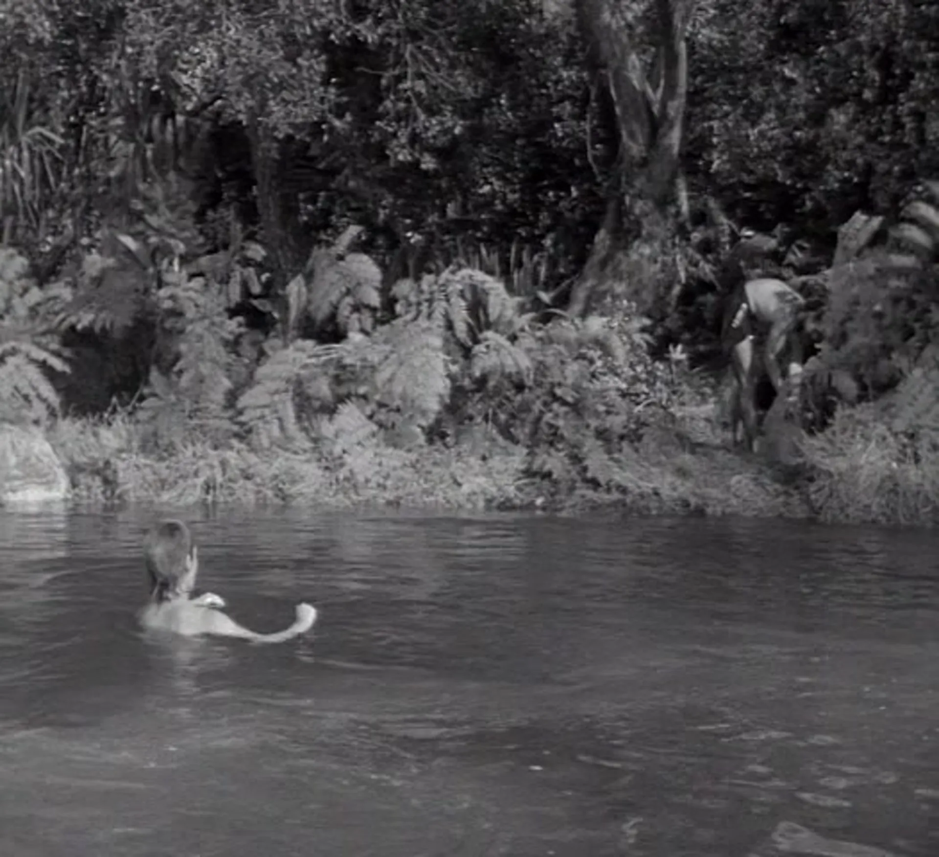 Tarzan's Hidden Jungle scene still 4