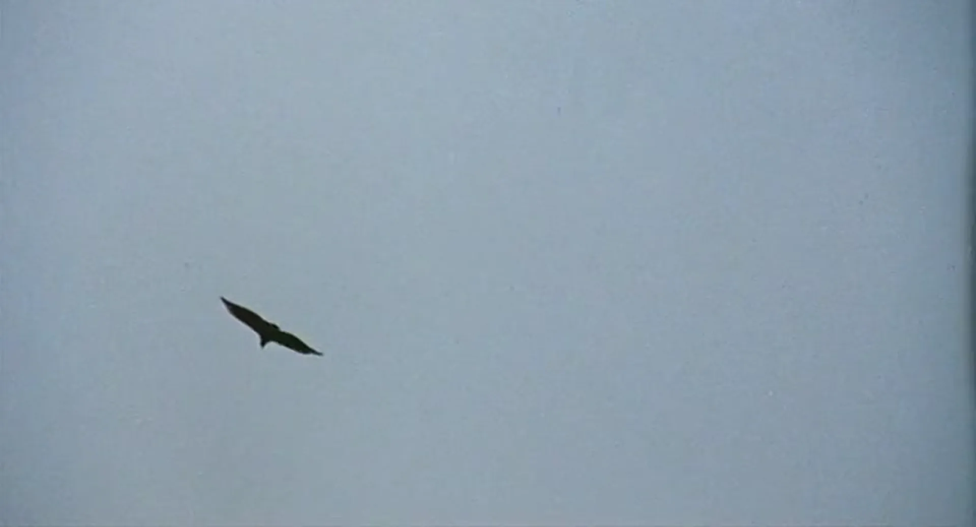 Venus in Furs scene still 4