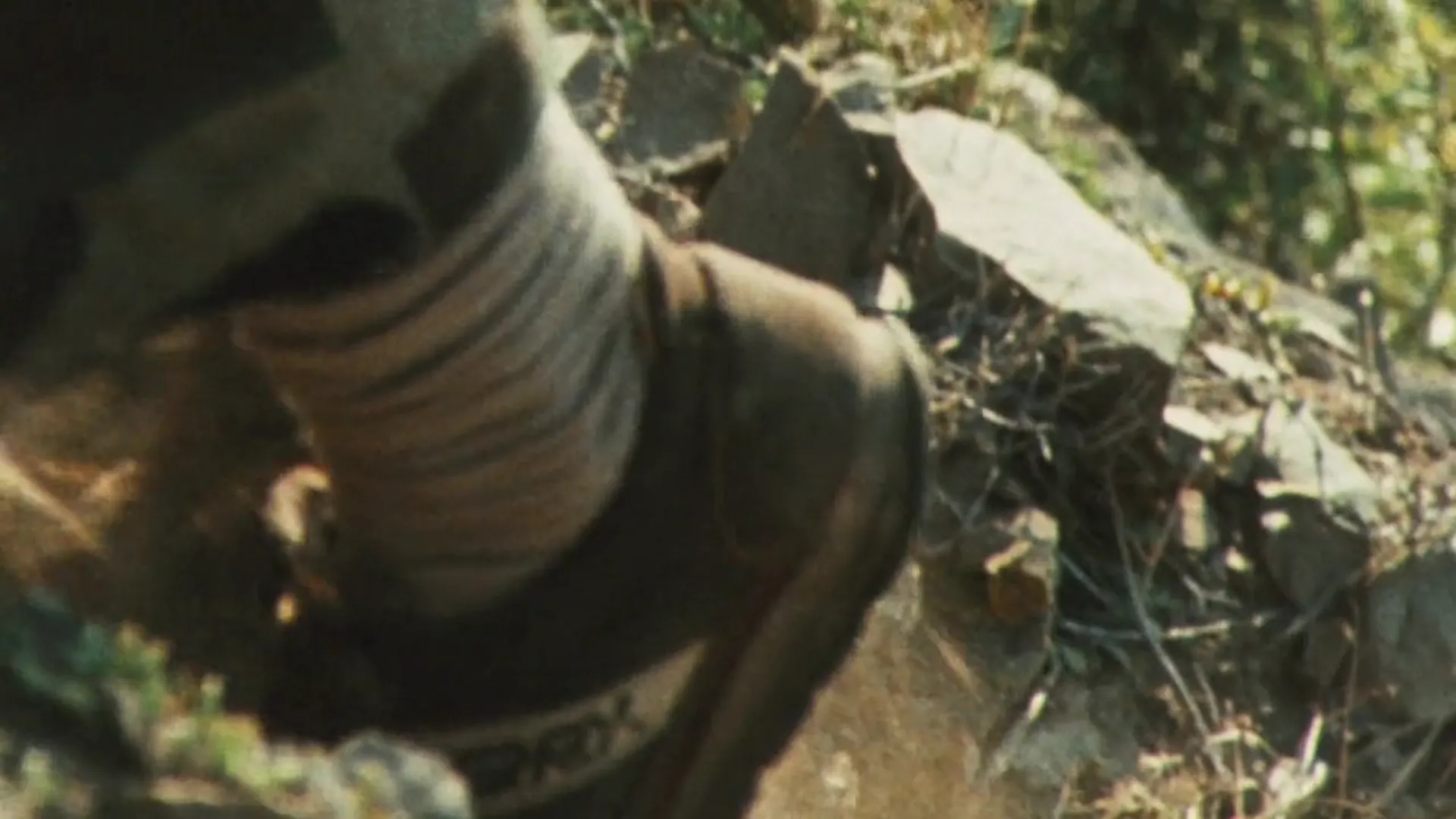 Bad Taste scene still 3