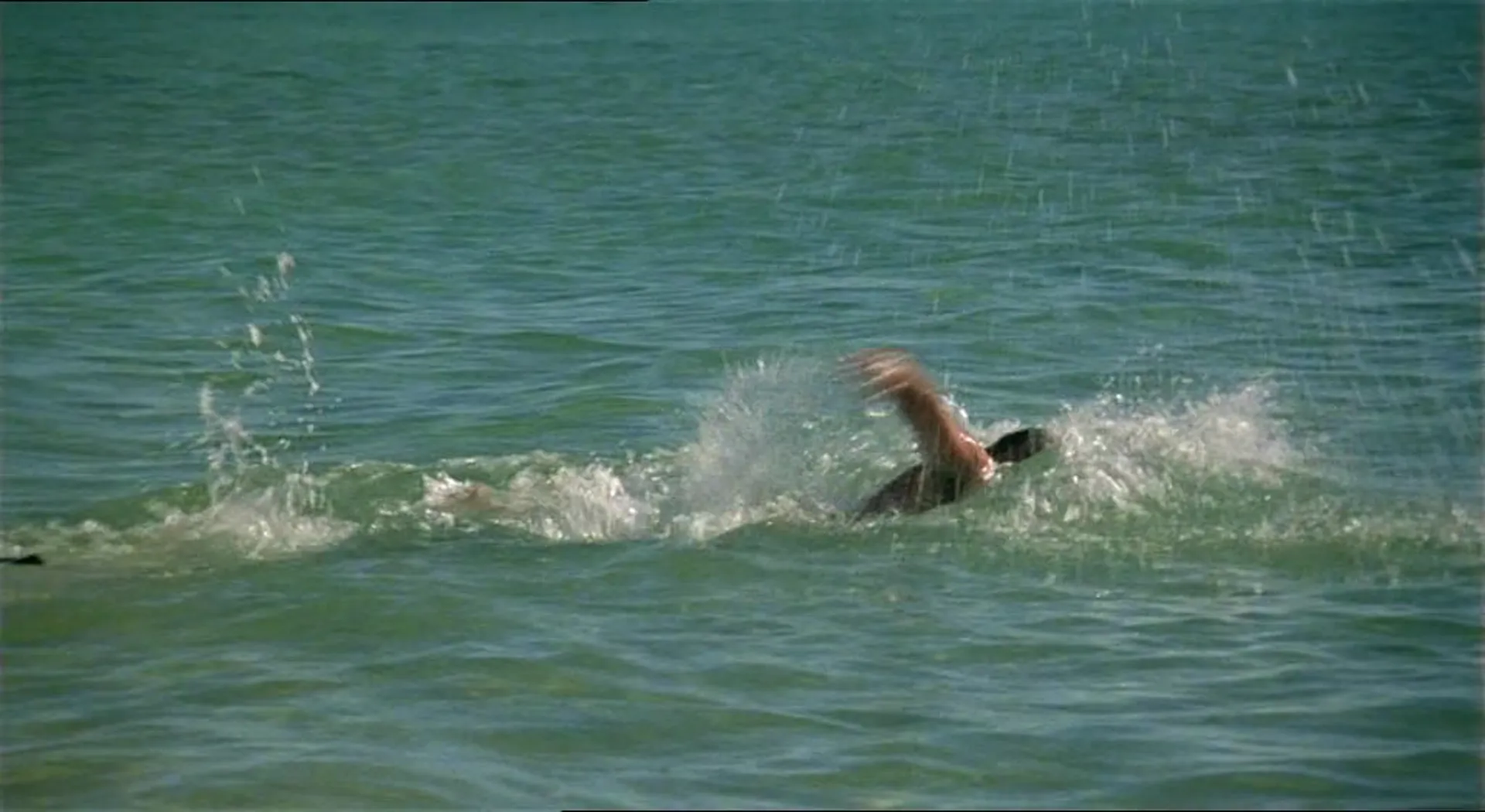 Pacific Banana scene still 5