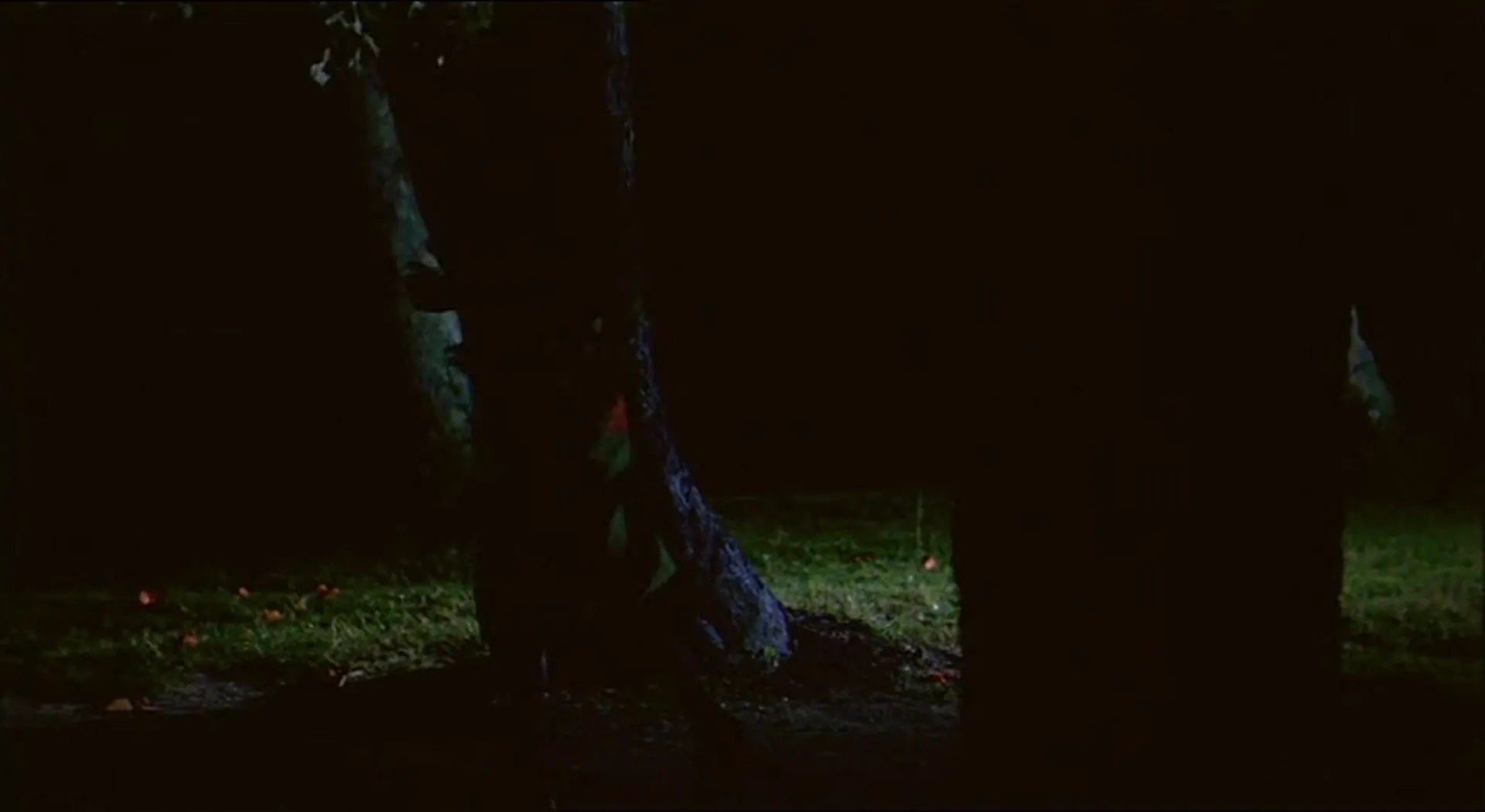 Pacific Banana scene still 6