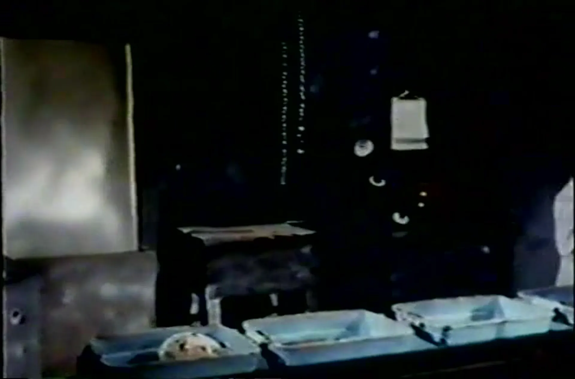 Flesh Feast scene still 4