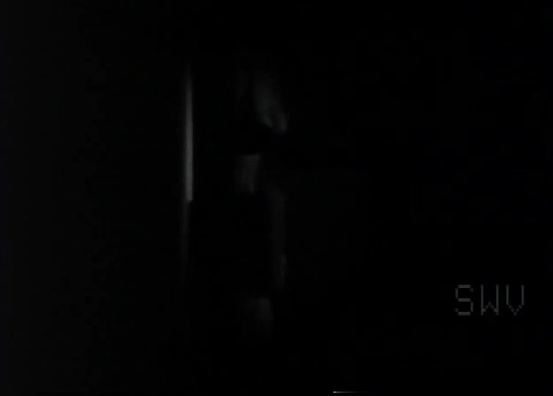 The Animal scene still 2