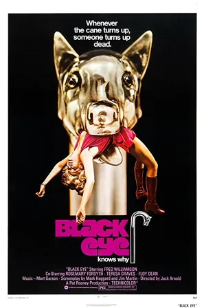 Black Eye (1974) Movie Poster - SassyFlix