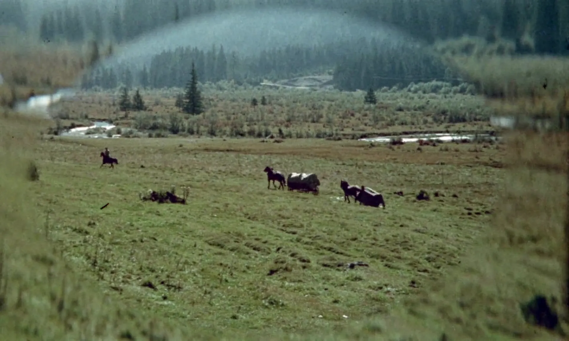 Mark of the Devil scene still 1