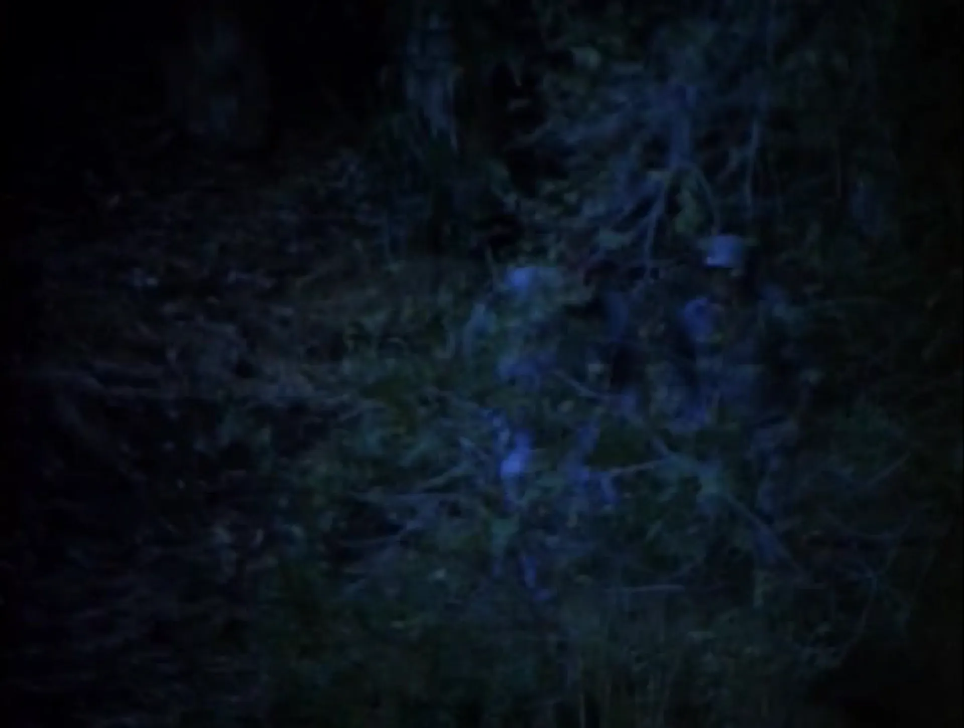 Chain Gang Women scene still 6
