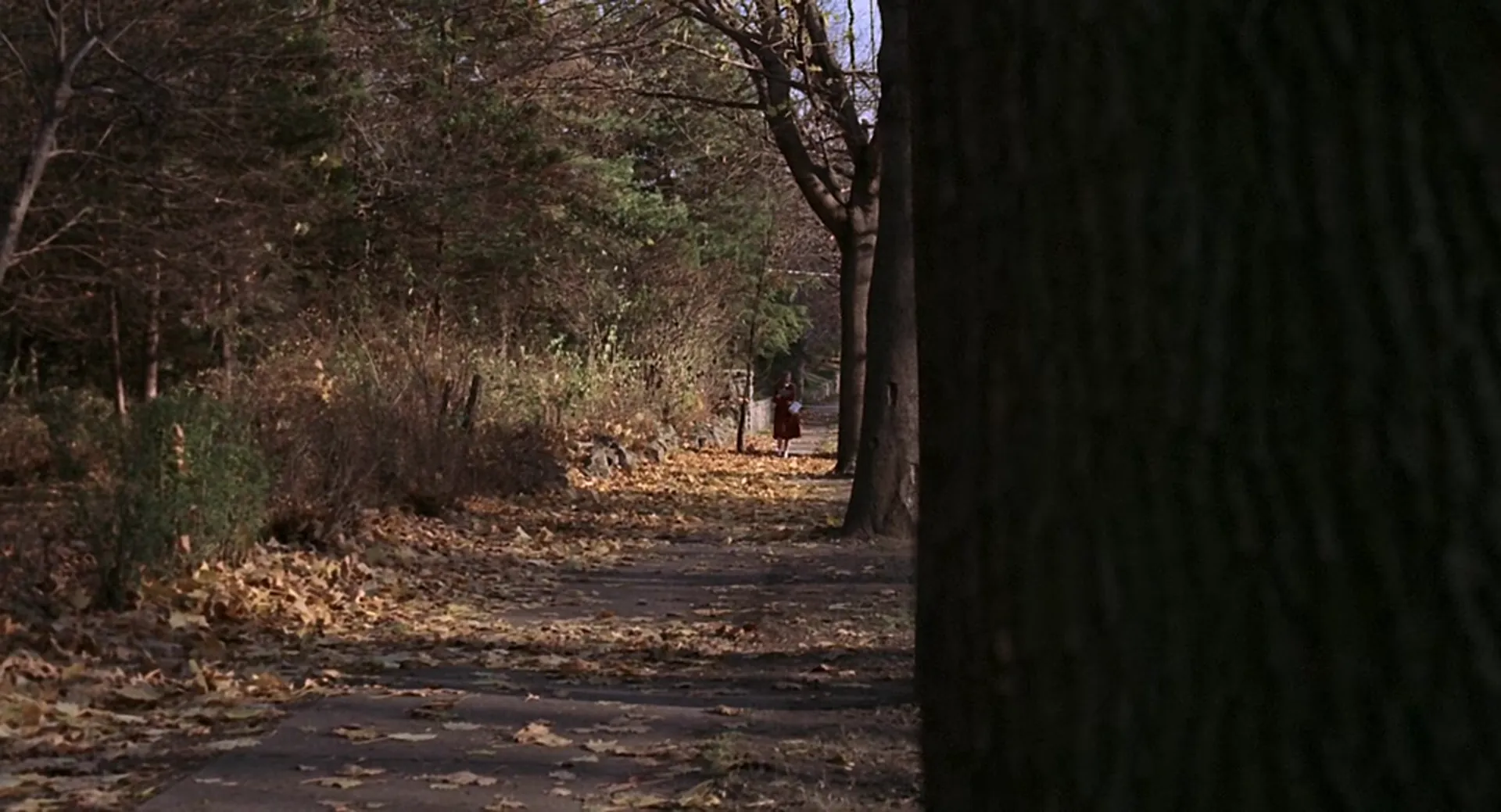 Puzzle of a Downfall Child scene still 2