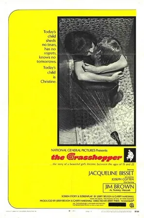 The Grasshopper (1970) Movie Poster - SassyFlix