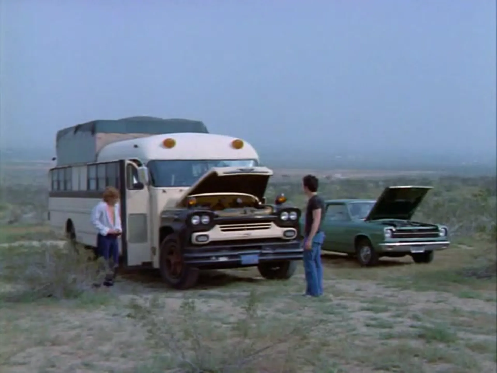 Country Hooker scene still 3