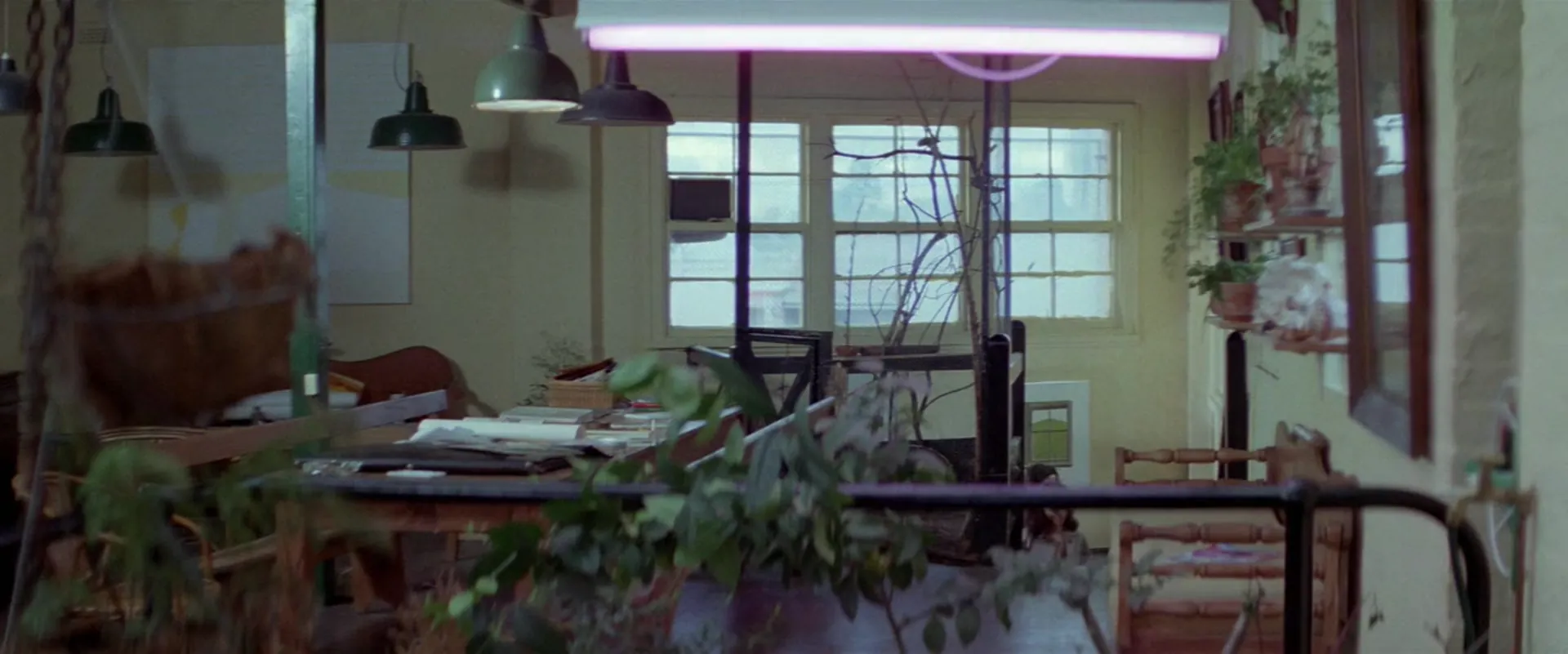 Snapshot scene still 1