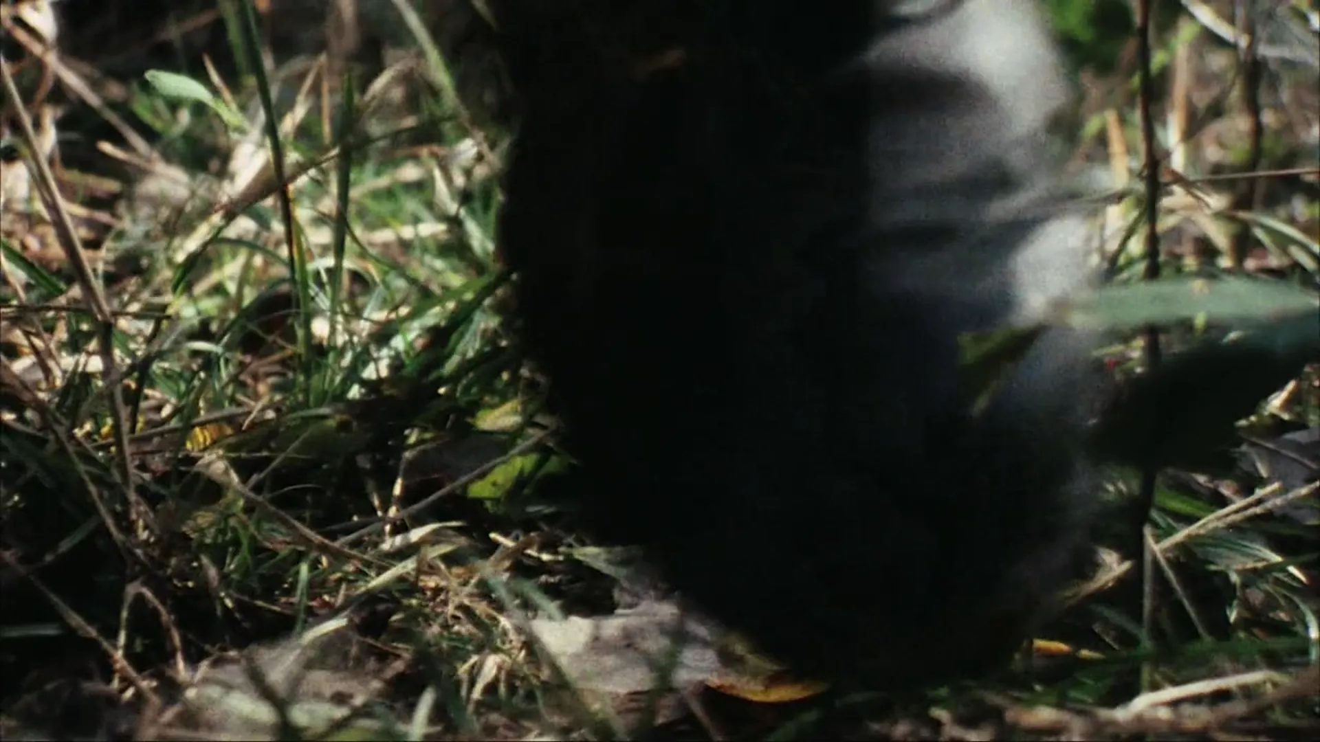 Nail Gun Massacre scene still 6