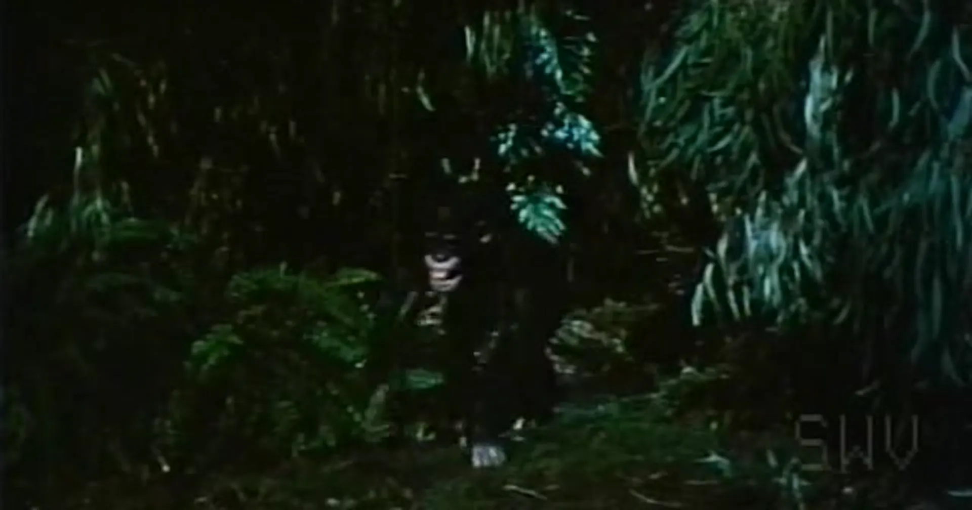 Tarzana, the Wild Girl scene still 6