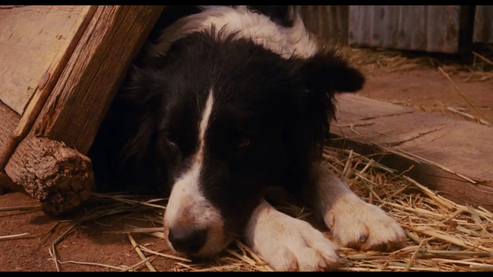 Fair Game scene still 2