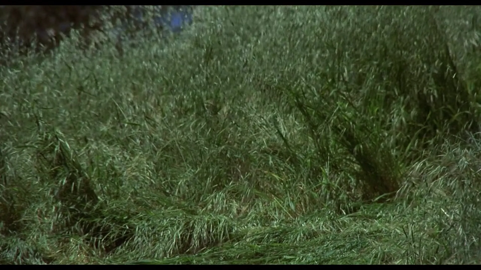 Invasion of the Bee Girls scene still 1