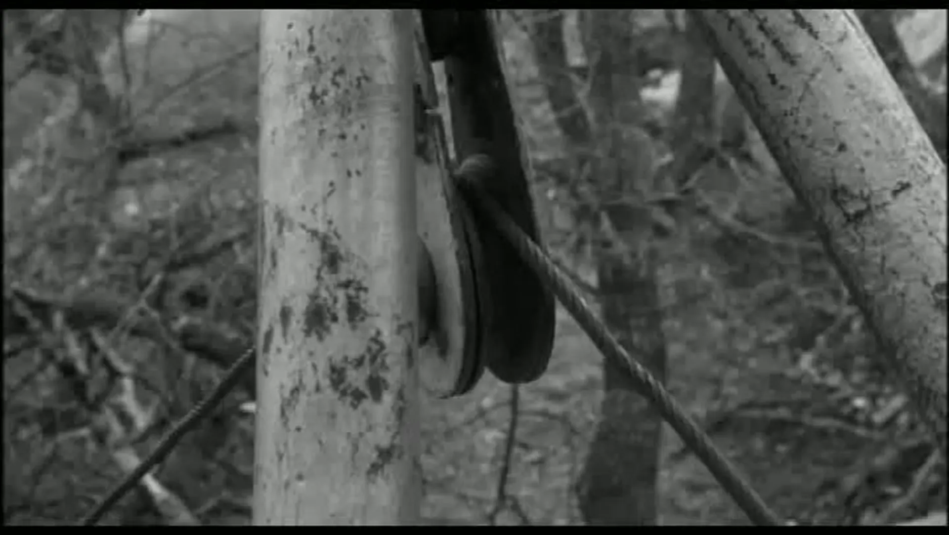 The Giant Gila Monster scene still 6