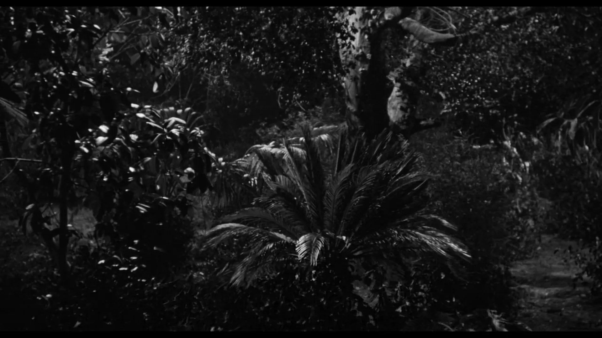 The Leech Woman scene still 4