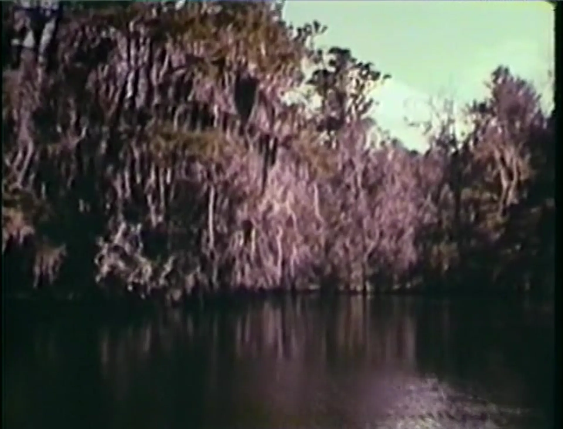 Swamp Women scene still 3