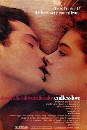Endless Love (1981) Movie Poster - SassyFlix