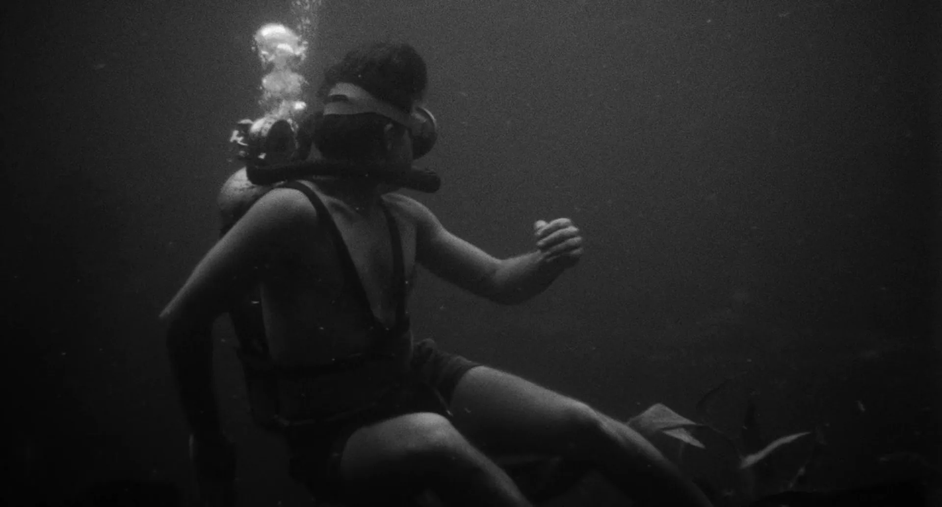 Attack of the Crab Monsters scene still 3