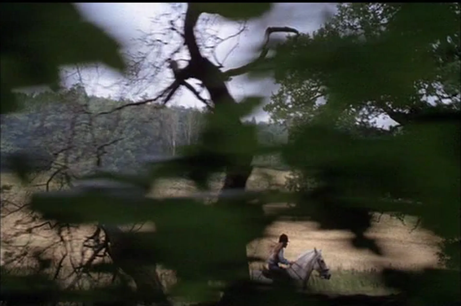 The Watcher in the Woods scene still 6