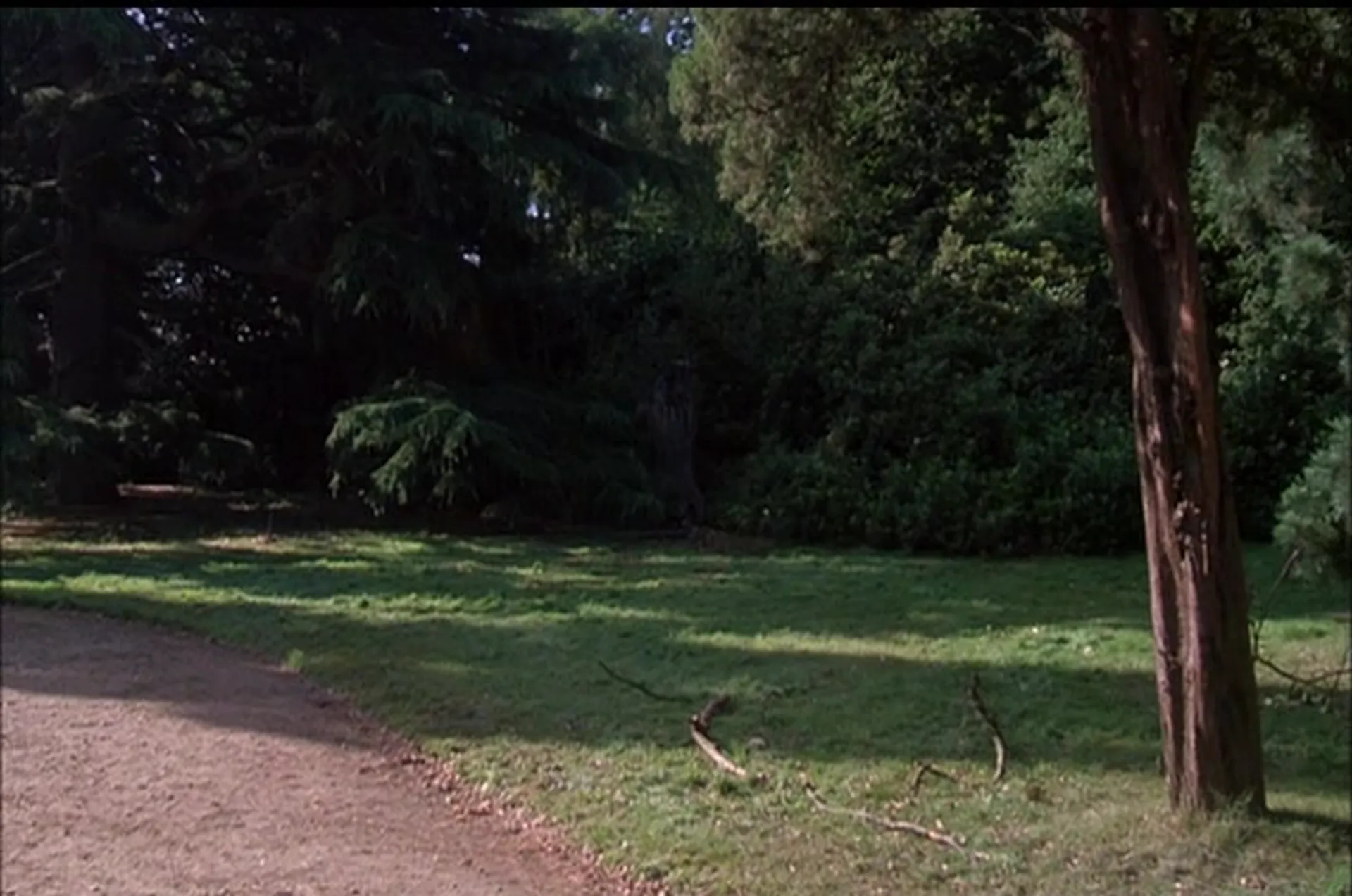 The Watcher in the Woods scene still 3