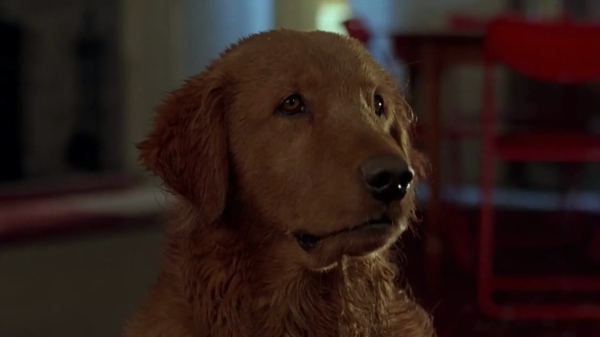 Watchers scene still 3