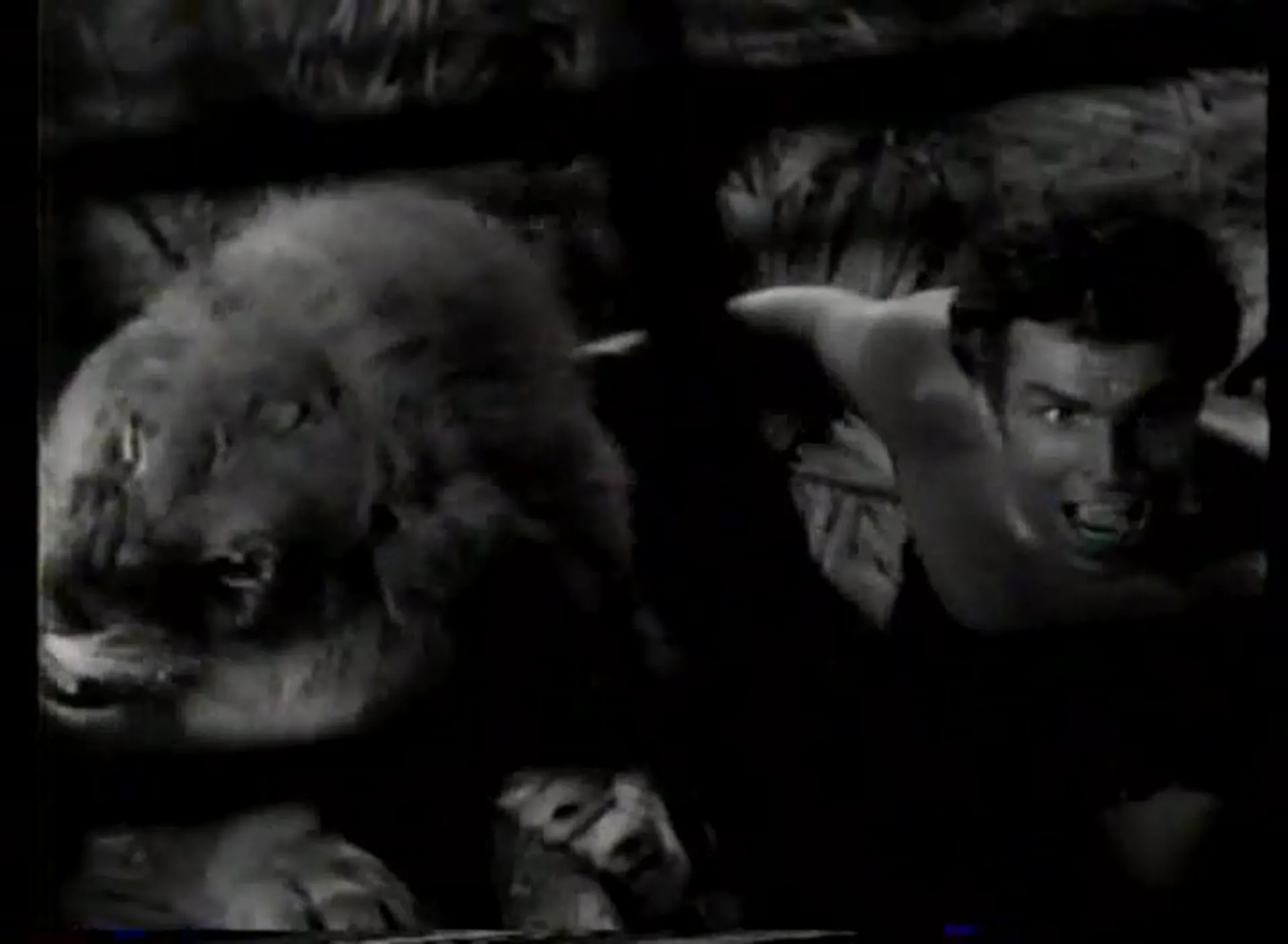 King of the Jungle scene still 4