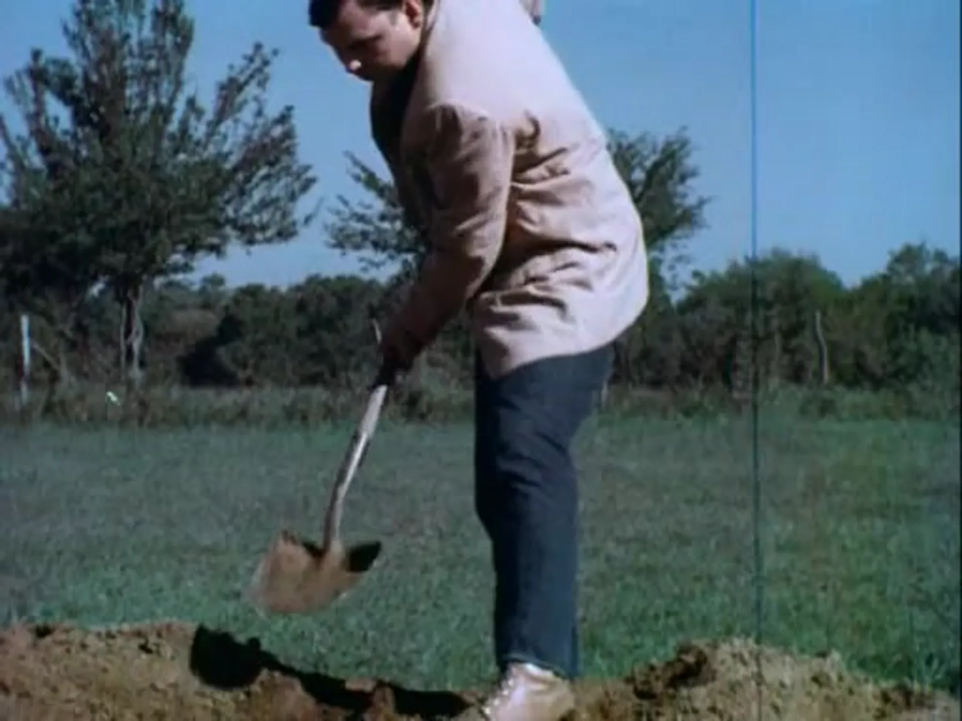 This Stuff'll Kill Ya! scene still 6