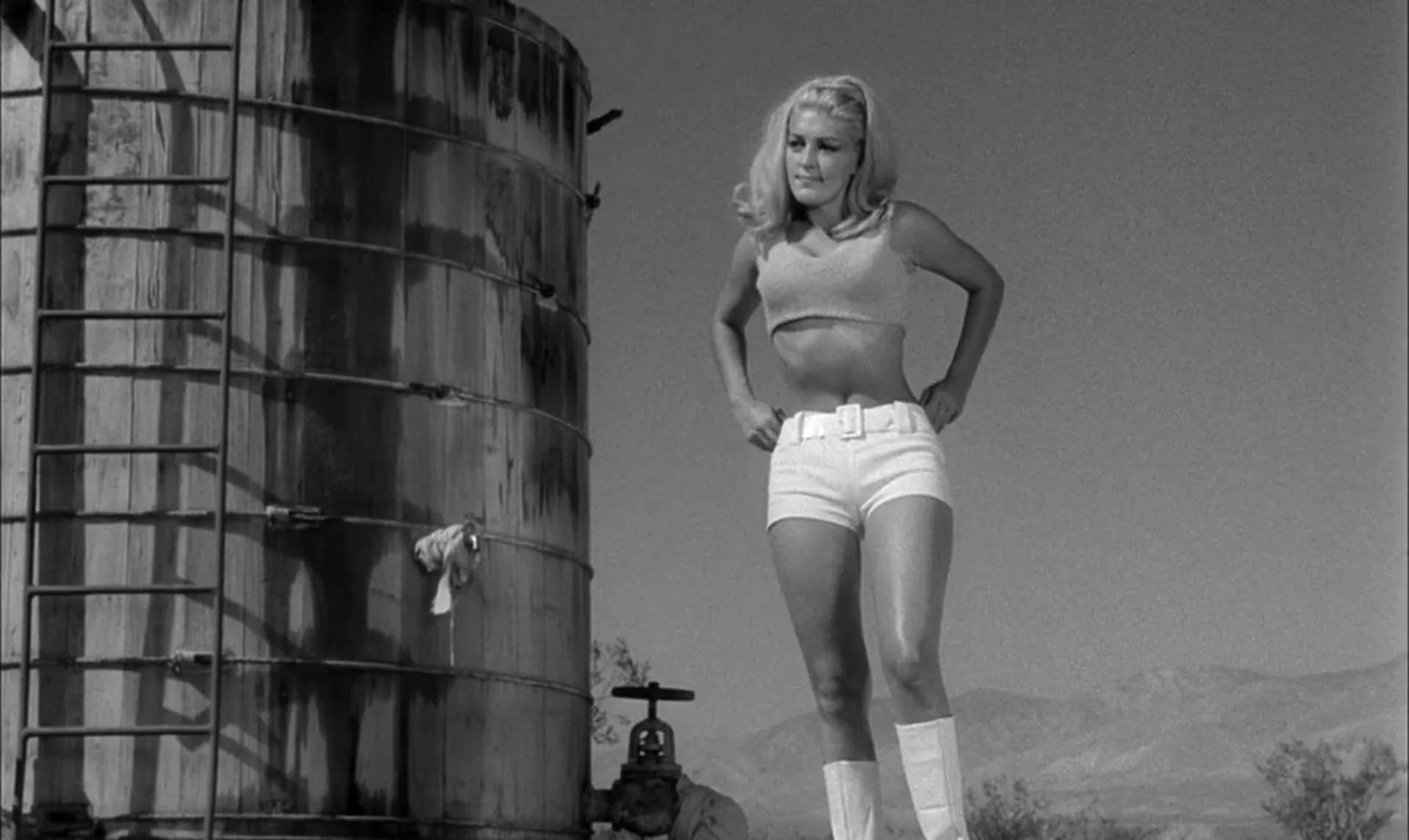 Faster, Pussycat! Kill! Kill! scene still 5
