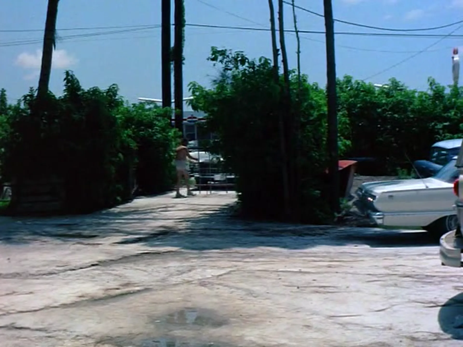 The Beast That Killed Women scene still 4