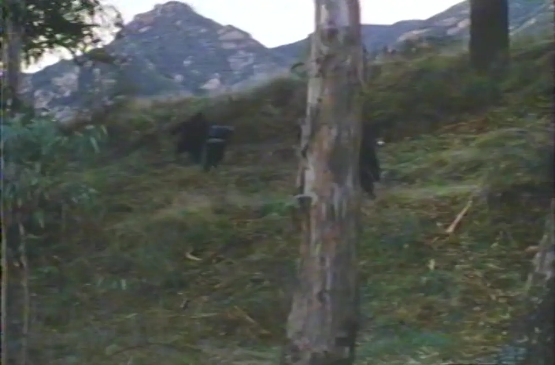 Dangerously Close scene still 6