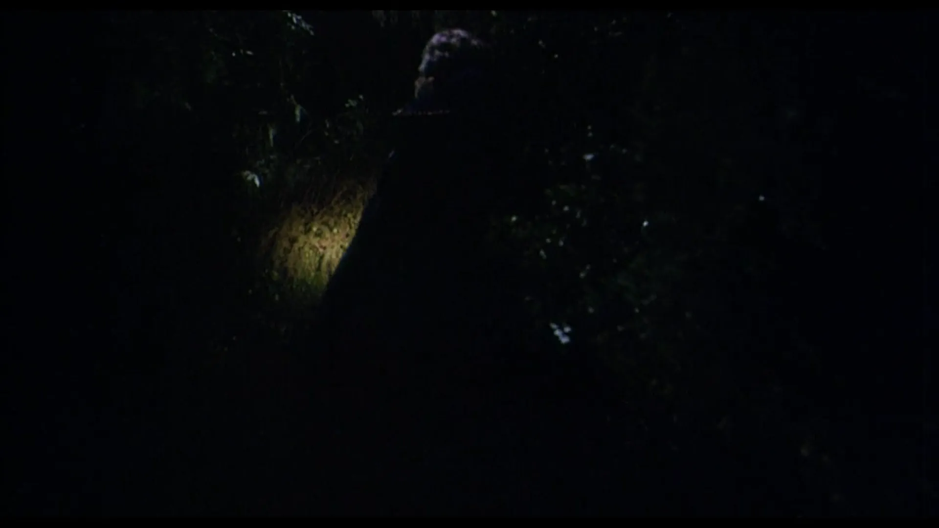 Hell Night scene still 6