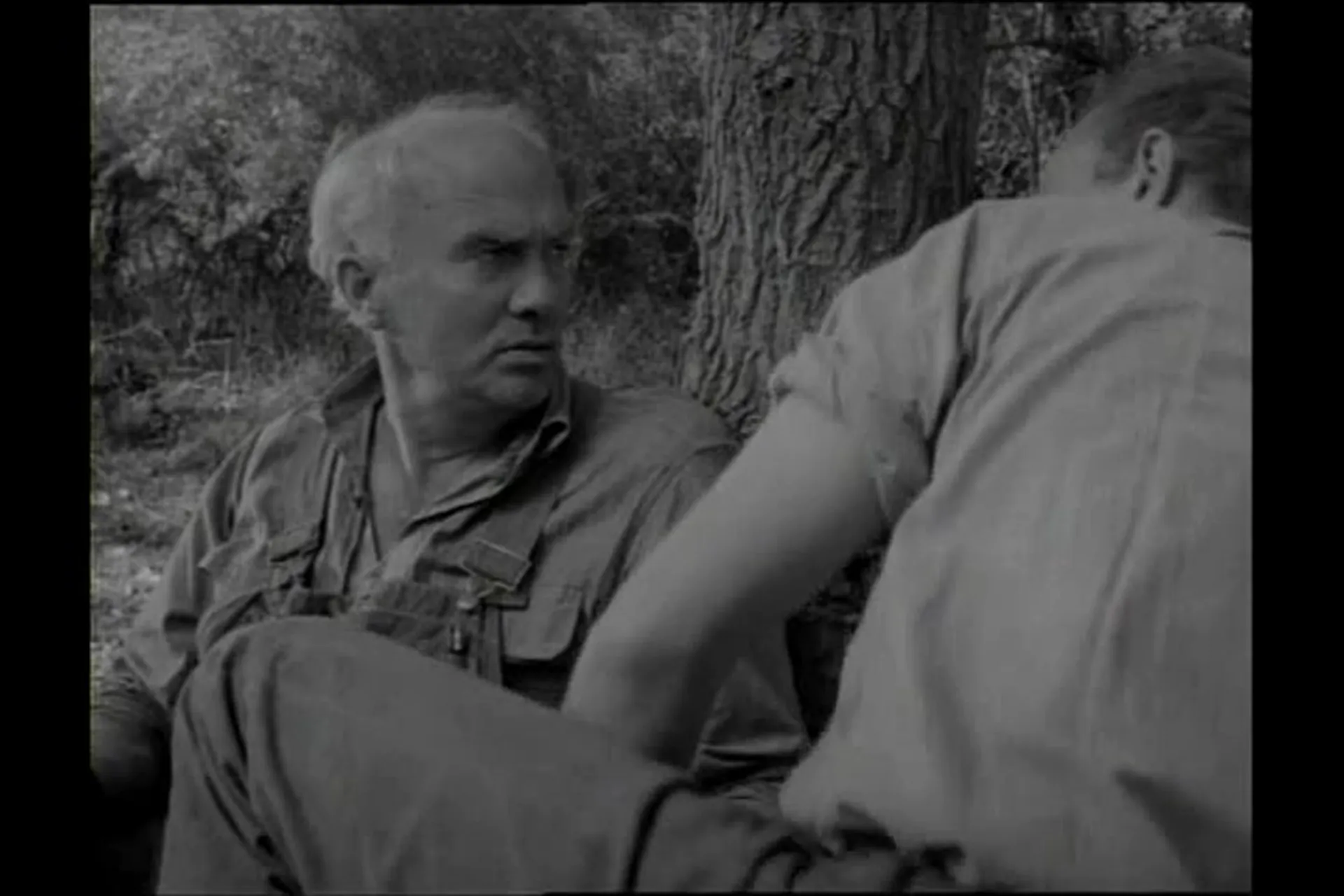Mudhoney scene still 2