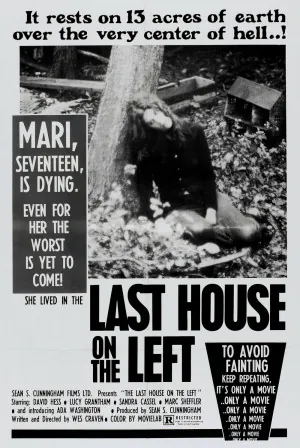 The Last House on the Left (1972) Movie Poster - SassyFlix